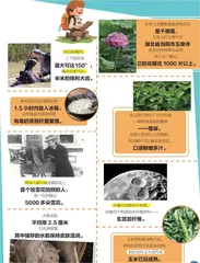 一句话科普
