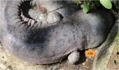 我们身边的“丑英雄”3