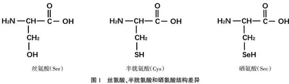 生物化学教材中氨基酸分类与理化性质的辨析