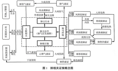 基于思维可视化工具的脏腑辨证课程构建