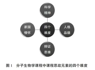 一流专业建设背景下思政元素与专业课程融合实践