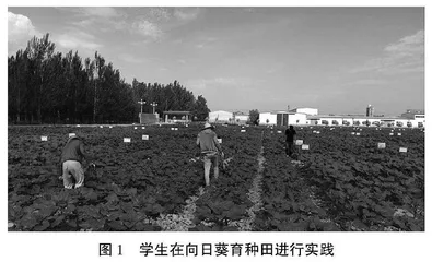 农业硕士研究生开展耕读教育的思考