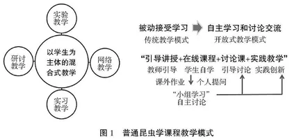 普通昆虫学一流本科课程建设及混合式教学实践探究