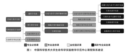 “双一流”建设背景下被公开警示学科提升路径研究