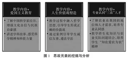 新农科背景下生物化学课程思政建设与实践
