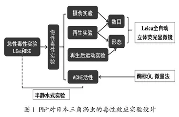 基于开放性实验的大学生科学素质培养