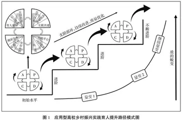 应用型高校乡村振兴实践育人提升路径探析