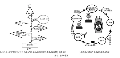 植物生理学课程思政融入点探究