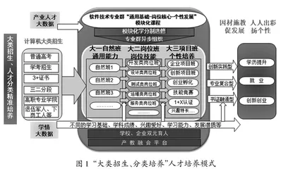 扩招背景下高水平专业群差异化人才培养的思考