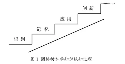 思政背景下园林树木学课程教学体系研究