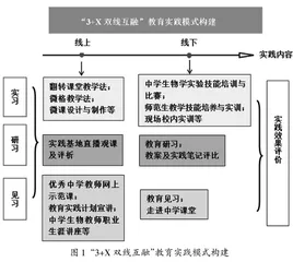 师范专业“3+X双线互融”教育实践模式构建与探索
