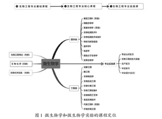 建设研究教学型学院背景下微生物学实验课程改革