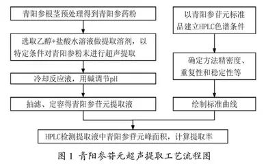 基于大学生创新性实验项目的药学本科生研究性学习探索