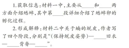 跨学科学习任务群视域下的语文创意作业设计