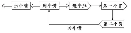 谈阅读教学中促进学生思维发展的策略