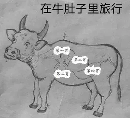 以信息提取为抓手 提升学生复述能力