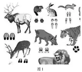开放式看图写话的几点探讨