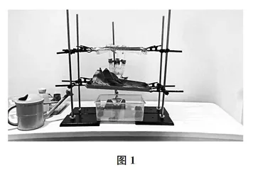 自行设计，自主操作