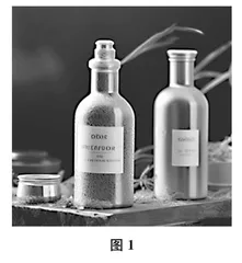 以数字技术赋能写作教学*