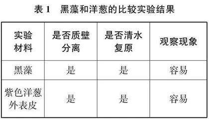 生物实验教学：基于疑问，促进理解