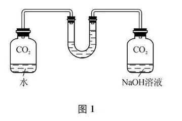 例说初中化学实验教学的优化