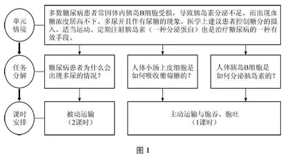 单元整体视角下的生物课时教学