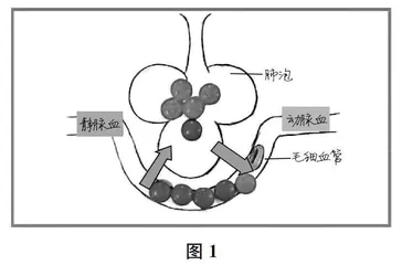 以任务驱动概念建构