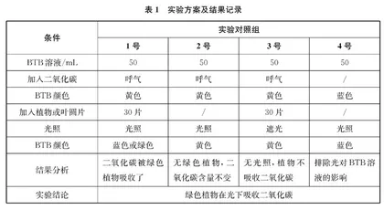 从验证走向探究