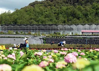 锚定特色优势产业 增强县域经济动能