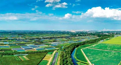 努力绘就乡村全面振兴新图景