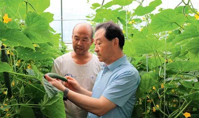 天津市农业农村委员会总农艺师张建树：建好“菜园子”  拎稳“菜篮子”