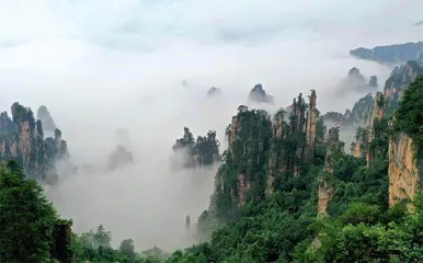 宁张“双向奔赴”，推进革命老区振兴发展