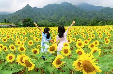 万里江山多姿多彩