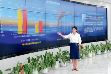 贾春贺:深挖细查用电数据服务经济社会发展