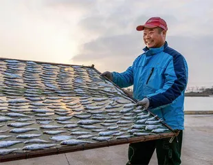 江苏邳州市摄影师贾传军:用镜头定格大运河动人瞬间