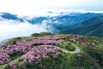 湖南双牌县:文旅融合兴乡村