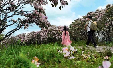 湖南双牌县:文旅融合兴乡村