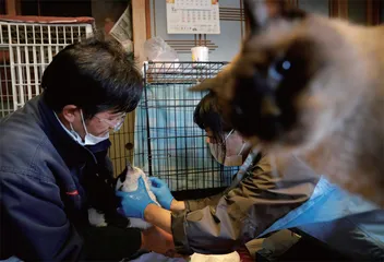 核灾后,一个人的家乡2