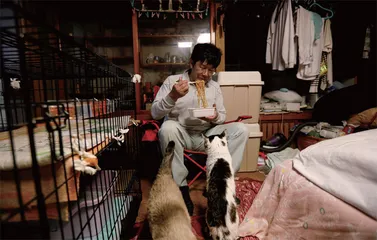 核灾后,一个人的家乡4