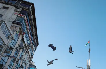 耶路撒冷围墙内,悲伤逆流成河3