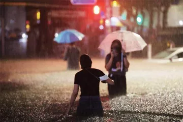 暴雨涌入,首尔“半地下”困局待解1