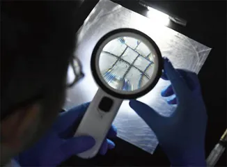 人工钻石走俏:美丽闪烁,人性生辉2