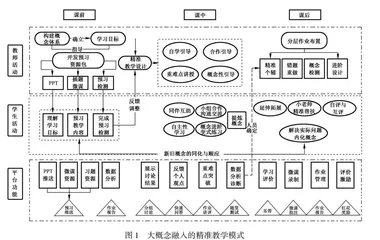 大概念融入的精准教学模式构建与效果研究  