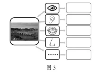 大班语言活动:我做小主播2