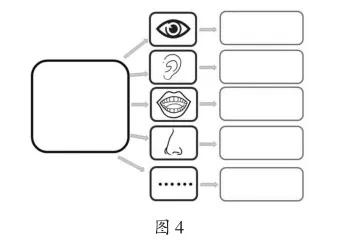 大班语言活动:我做小主播3