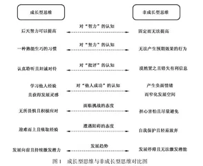 从“固化”到“转型”：基于成长型思维的教师专业发展及其实现