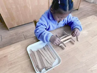 趣玩压舌板15