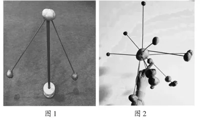 大班科学活动：玩转土豆