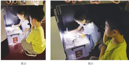 神奇的大黑箱10
