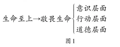 以敬畏担起生命责任 用责任书写青春使命